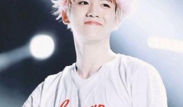 边伯贤圈内爆料视频全集,圈内爆料视频全集幕后真相大揭秘